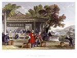 digital download historical antique print chinese tea production, 1843